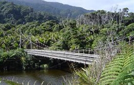 Karamea