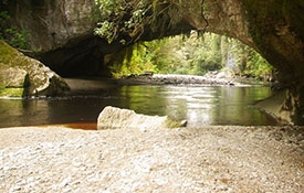 Oparara Basin