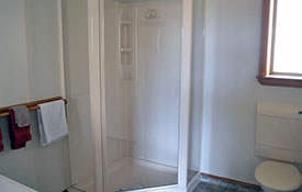 bathroom with a shower